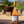2025 Grenache Rosé