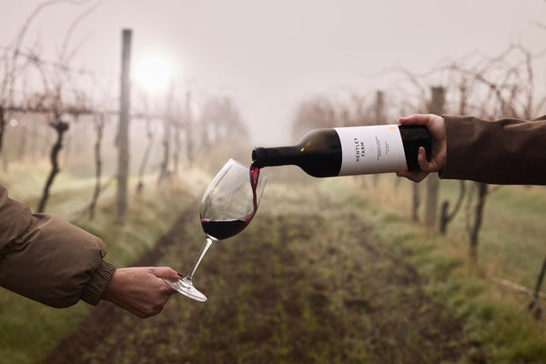 2023 The Beast Shiraz
