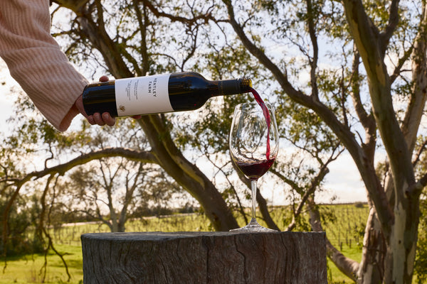 2024 The Quintessential Shiraz Cabernet Sauvignon